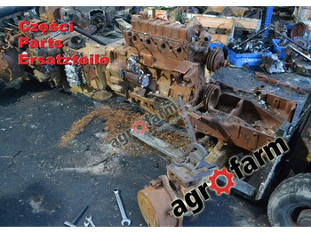 : fotografie hlavičky