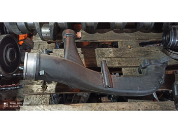 : fotografie hlavičky