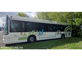 Autobus
