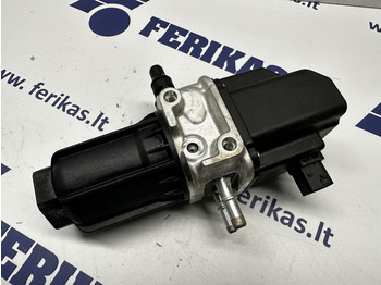 : fotografie hlavičky