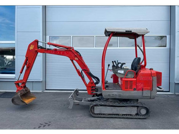 : fotografie hlavičky