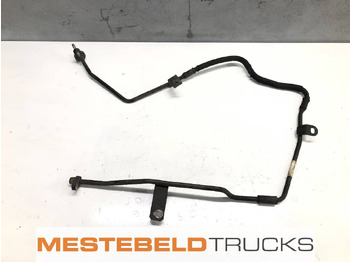 : fotografie hlavičky