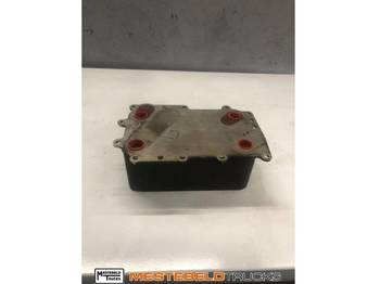 : fotografie hlavičky