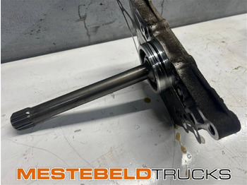 : fotografie hlavičky