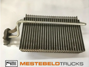 Kabina a interiér MAN