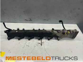 : fotografie hlavičky