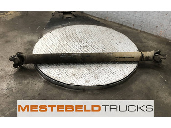 : fotografie hlavičky