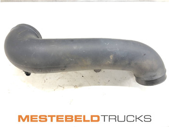 : fotografie hlavičky