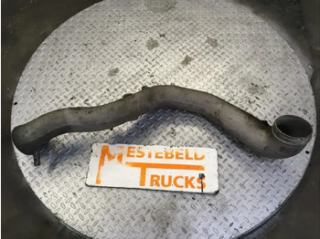 : fotografie hlavičky