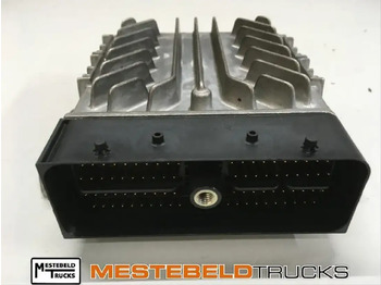 : fotografie hlavičky