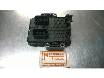 : fotografie hlavičky