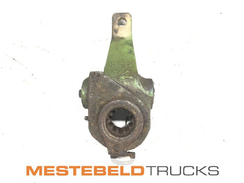 : fotografie hlavičky