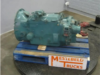 : fotografie hlavičky