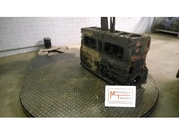 : fotografie hlavičky