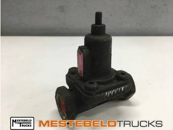 : fotografie hlavičky