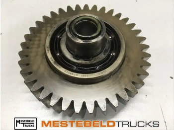 : fotografie hlavičky