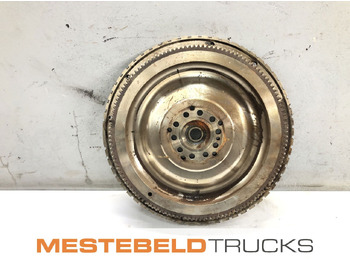 : fotografie hlavičky