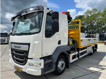Auto s hydraulickou rukou DAF LF 230