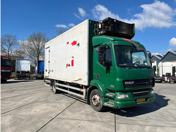 Chladírenský nákladní automobil DAF LF 55 FA: obrázek 4
