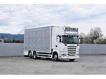 Přepravník zvířat Scania R 500 TIERTRANSPORTWAGEN 7,10m / 4STOCK: obrázek 2