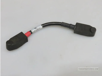 : fotografie hlavičky