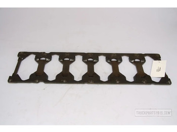 : fotografie hlavičky