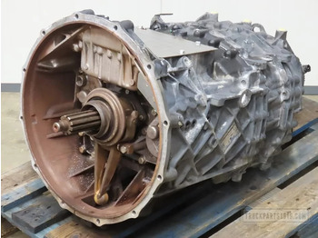 : fotografie hlavičky