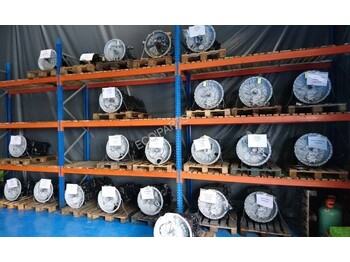 : fotografie hlavičky