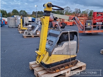 : fotografie hlavičky