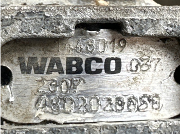 : fotografie hlavičky