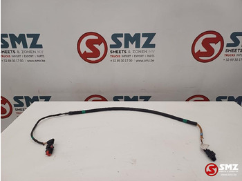 : fotografie hlavičky