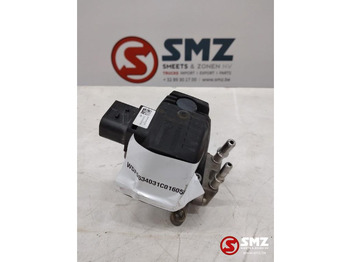 : fotografie hlavičky