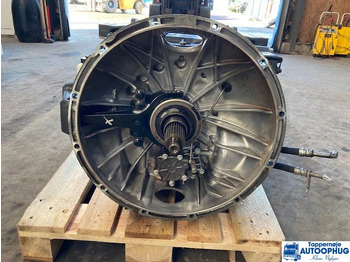 : fotografie hlavičky