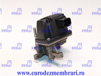 : fotografie hlavičky