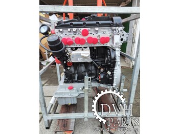 : fotografie hlavičky