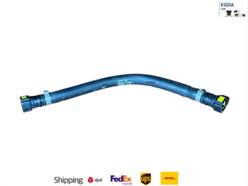 : fotografie hlavičky