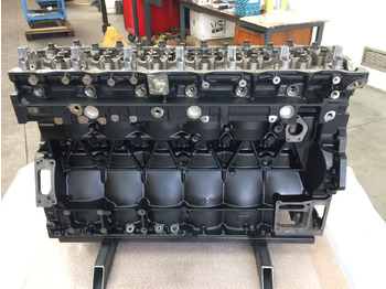 Motor MOTORE MAN D2066LUH42 - 320CV - EEV - VERSIONE LONGBLOCK: obrázek 2