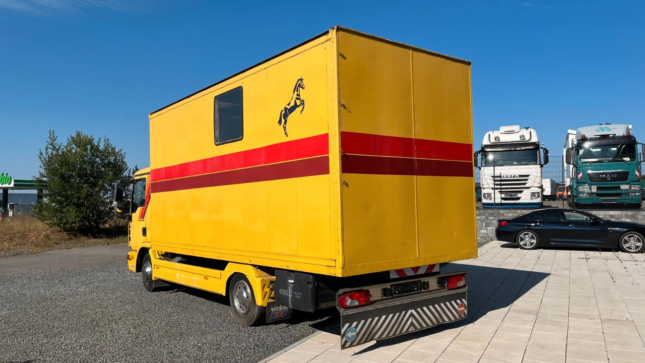 MAN TGL 10.180 Euro 4 Pferdetransporter Horse MAN TGL 10.180 Euro 4 Pferdetransporter Horse - Auto na přepravu koní: obrázek 5 MAN TGL 10.180 Euro 4 Pferdetransporter Horse MAN TGL 10.180 Euro 4 Pferdetransporter Horse - Auto na přepravu koní: obrázek 5