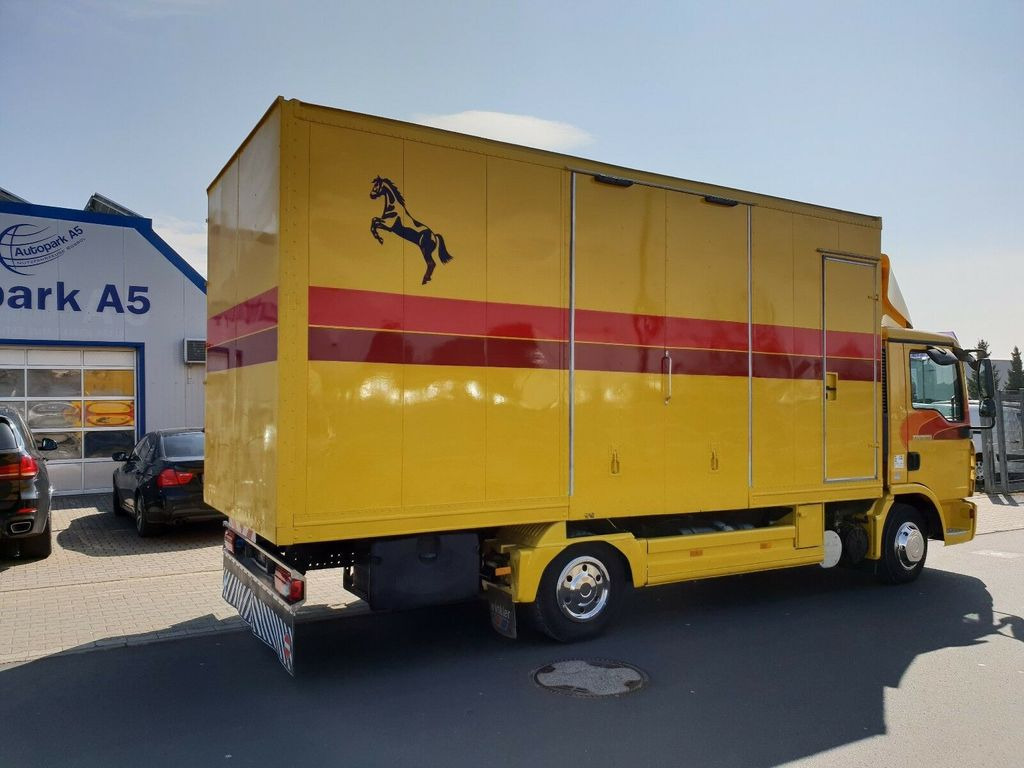 MAN TGL 10.180 Euro 4 Pferdetransporter Horse - Auto na přepravu koní: obrázek 4 MAN TGL 10.180 Euro 4 Pferdetransporter Horse - Auto na přepravu koní: obrázek 4