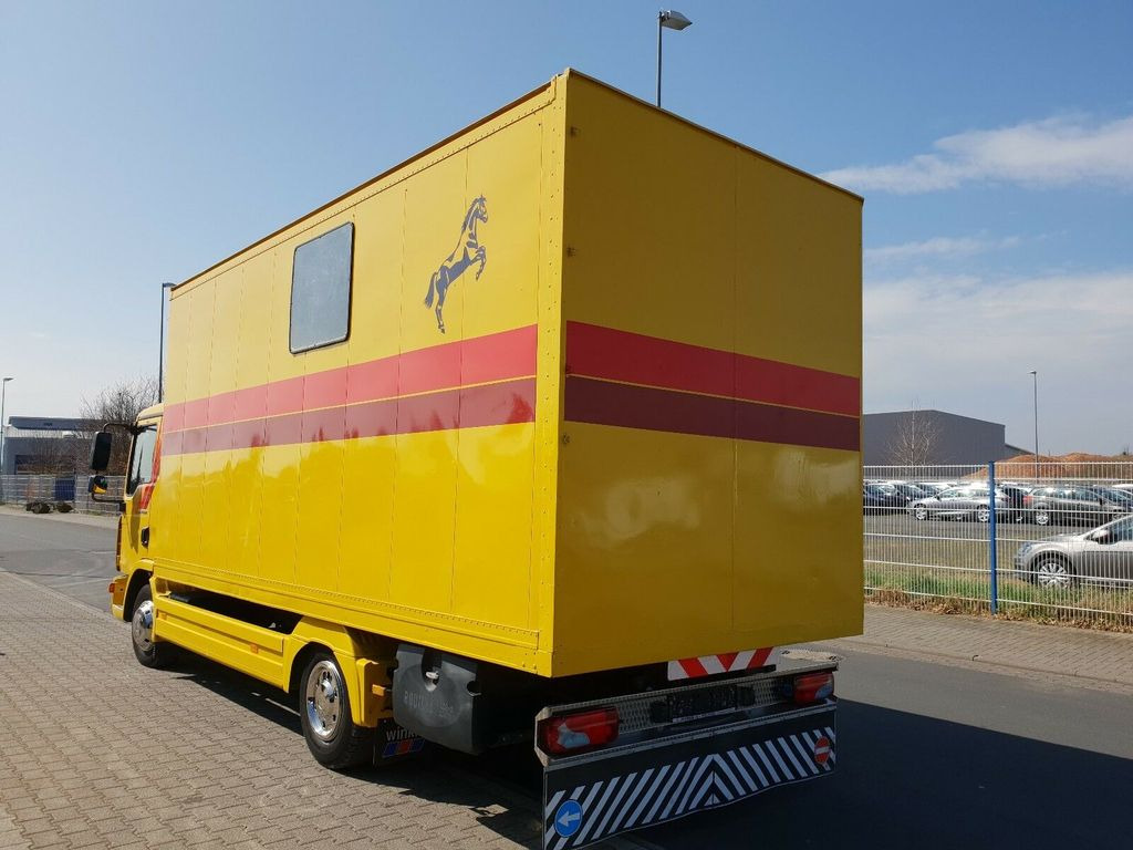 MAN TGL 10.180 Euro 4 Pferdetransporter Horse - Auto na přepravu koní: obrázek 5 MAN TGL 10.180 Euro 4 Pferdetransporter Horse - Auto na přepravu koní: obrázek 5