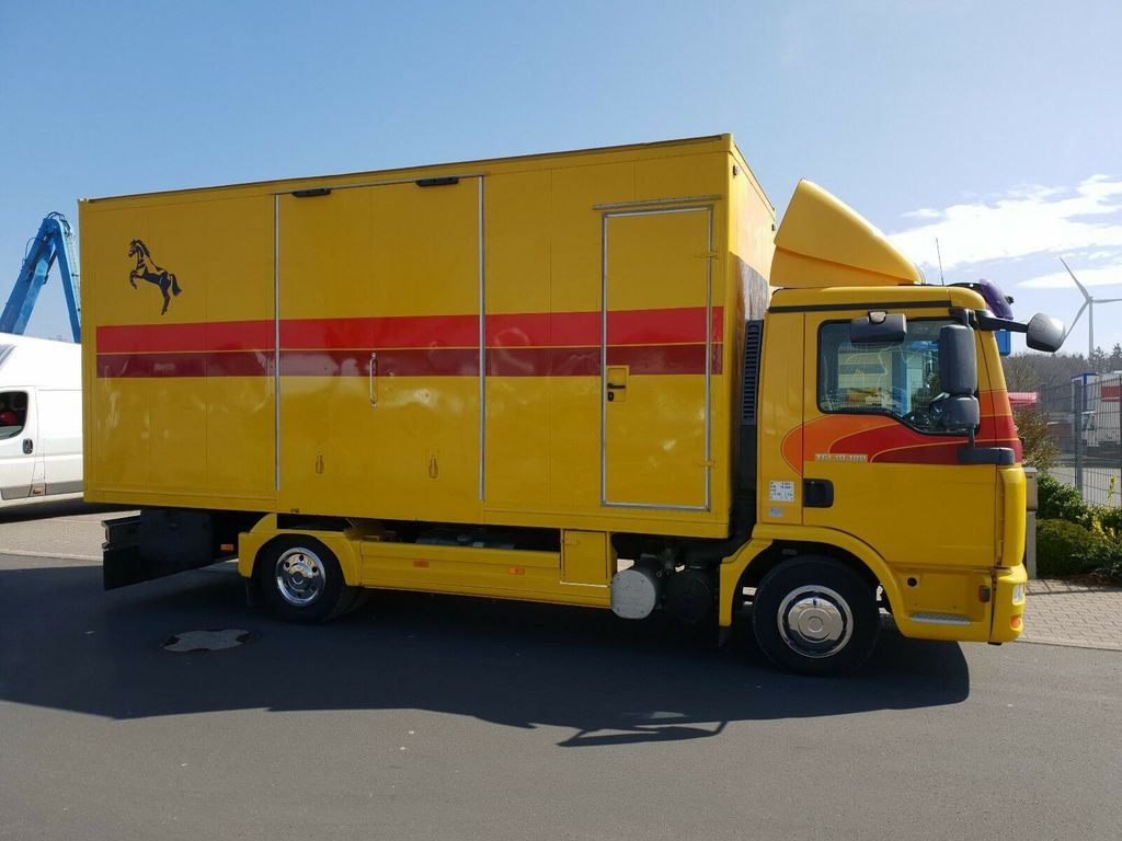 MAN TGL 10.180 Euro 4 Pferdetransporter Horse - Auto na přepravu koní: obrázek 3 MAN TGL 10.180 Euro 4 Pferdetransporter Horse - Auto na přepravu koní: obrázek 3