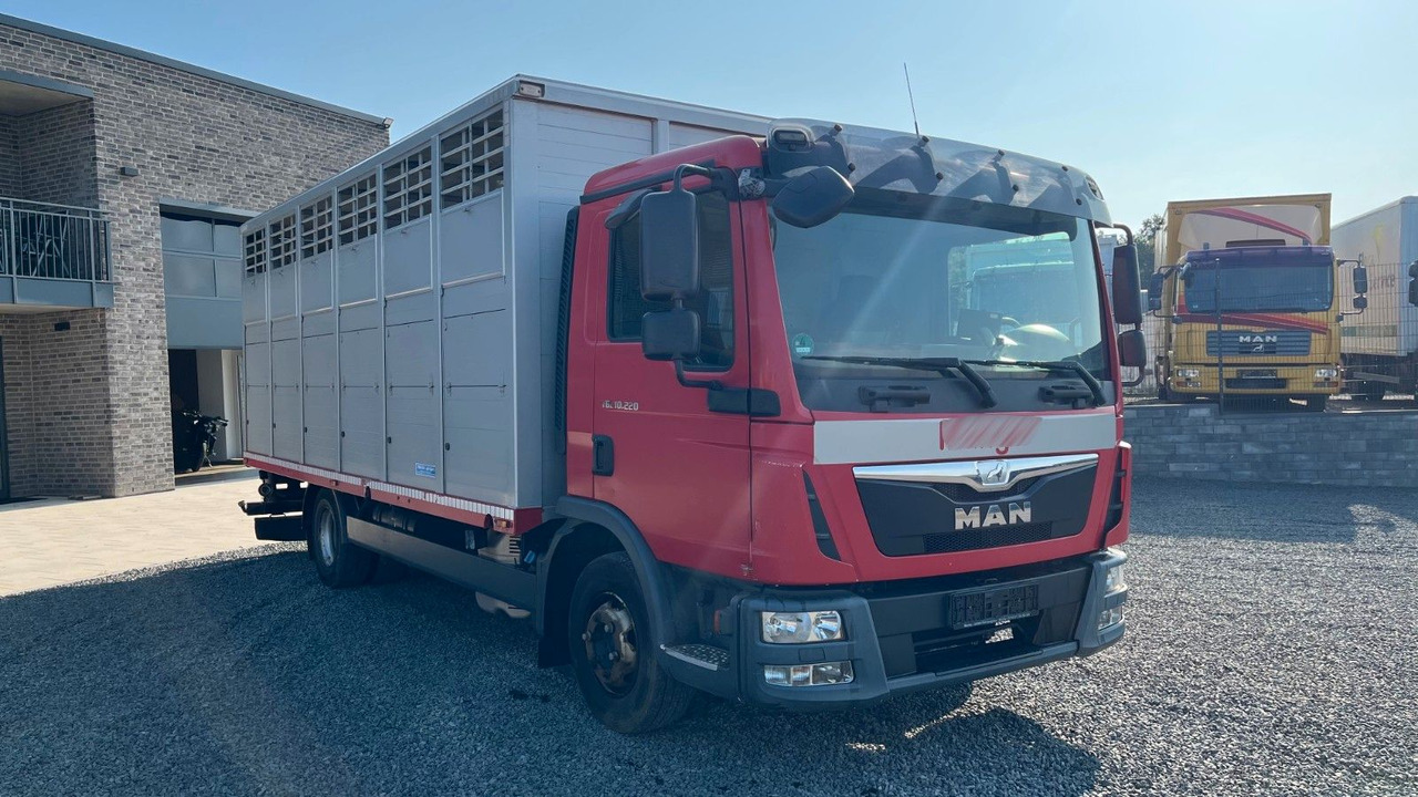 MAN TGL 10.220 Viehtransporter Rampe Trennwände - Auto na přepravu koní: obrázek 3 MAN TGL 10.220 Viehtransporter Rampe Trennwände - Auto na přepravu koní: obrázek 3