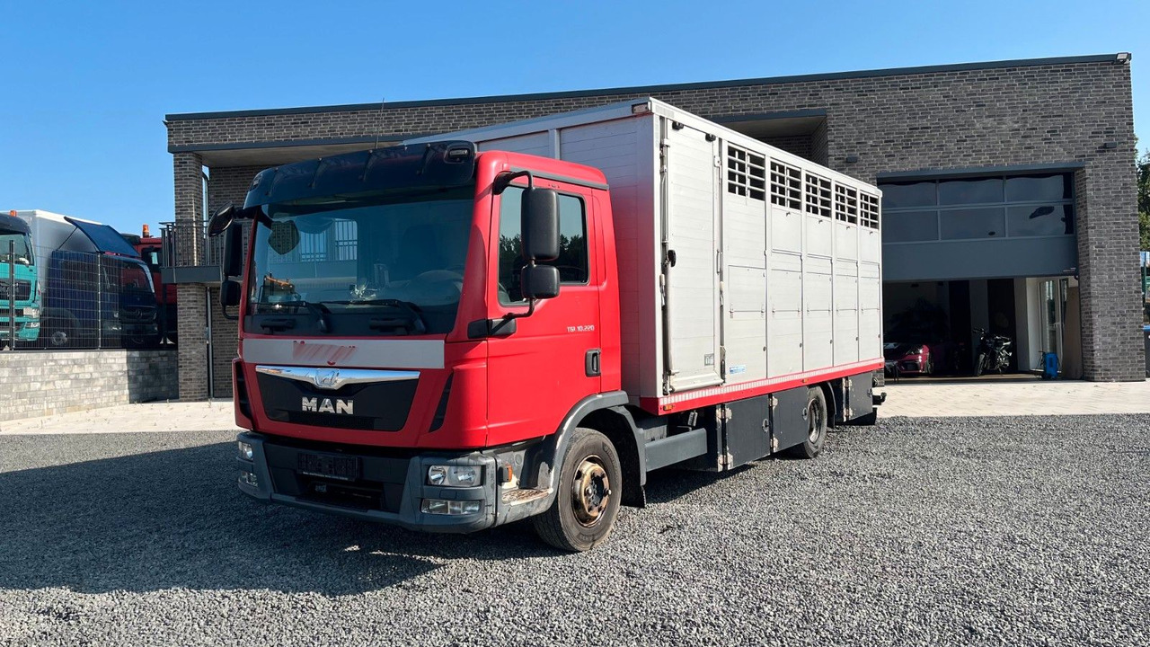 MAN TGL 10.220 Viehtransporter Rampe Trennwände - Auto na přepravu koní: obrázek 2 MAN TGL 10.220 Viehtransporter Rampe Trennwände - Auto na přepravu koní: obrázek 2