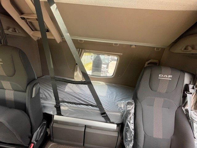 Hákový nosič kontejnerů DAF FAN XF 480 NGD: obrázek 16
