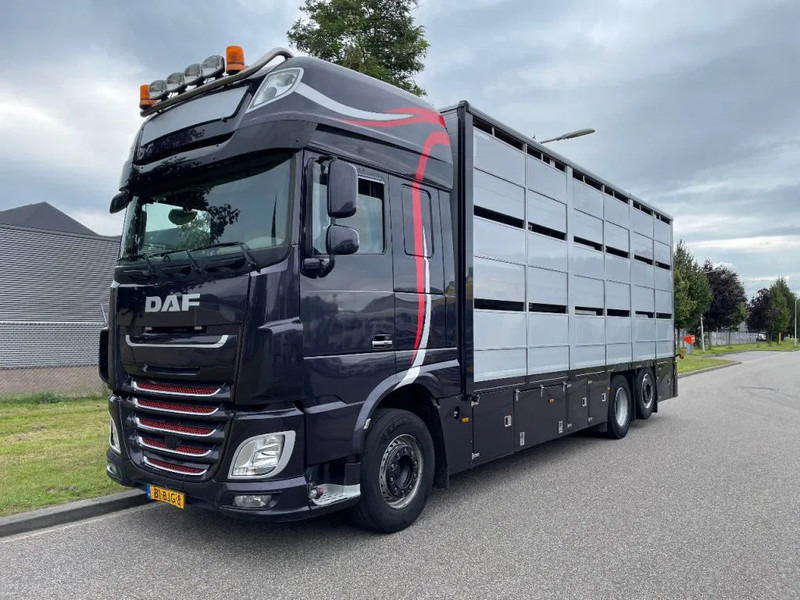 DAF XF 460 2017 berdex 3 lagen varkens - Přepravník zvířat: obrázek 1 DAF XF 460 2017 berdex 3 lagen varkens - Přepravník zvířat: obrázek 1