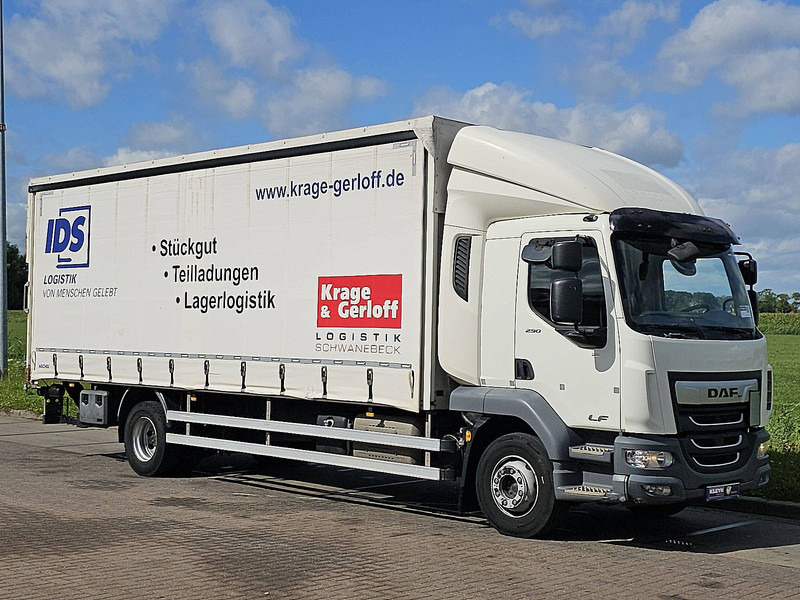 DAF LF 290 16T - Plachtový nákladní auto: obrázek 5 DAF LF 290 16T - Plachtový nákladní auto: obrázek 5