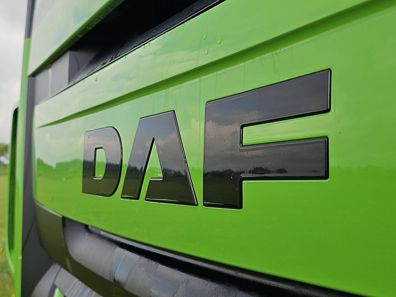 Tahač DAF XF 460: obrázek 16