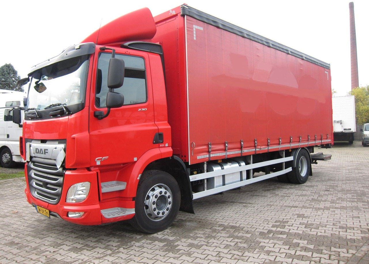 DAF CF 230 19T Schiebeplane LDW Portalturen - Plachtový nákladní auto: obrázek 2 DAF CF 230 19T Schiebeplane LDW Portalturen - Plachtový nákladní auto: obrázek 2