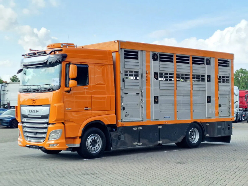 DAF XF 530 4x2 - Livestock Menke 2 deck water & ventilation - Přepravník zvířat: obrázek 5 DAF XF 530 4x2 - Livestock Menke 2 deck water & ventilation - Přepravník zvířat: obrázek 5