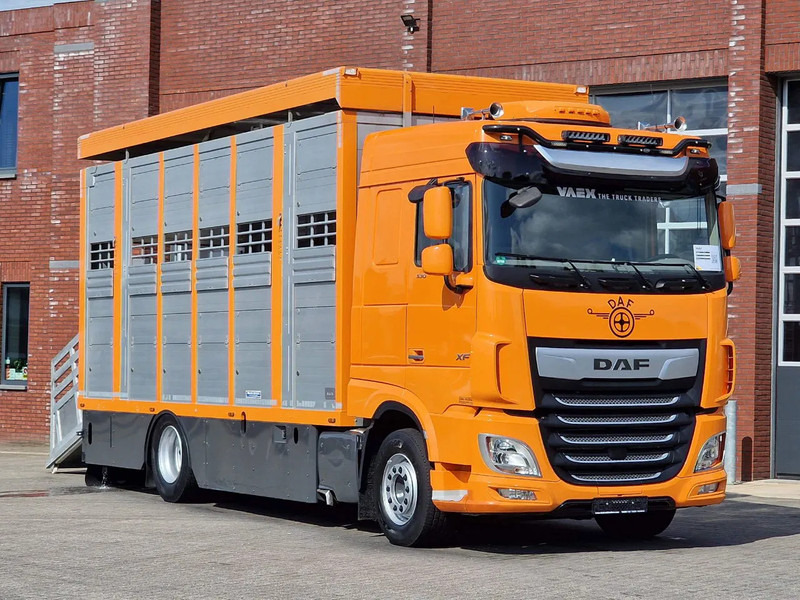 DAF XF 530 4x2 - Livestock Menke 2 deck water & ventilation - Přepravník zvířat: obrázek 1 DAF XF 530 4x2 - Livestock Menke 2 deck water & ventilation - Přepravník zvířat: obrázek 1